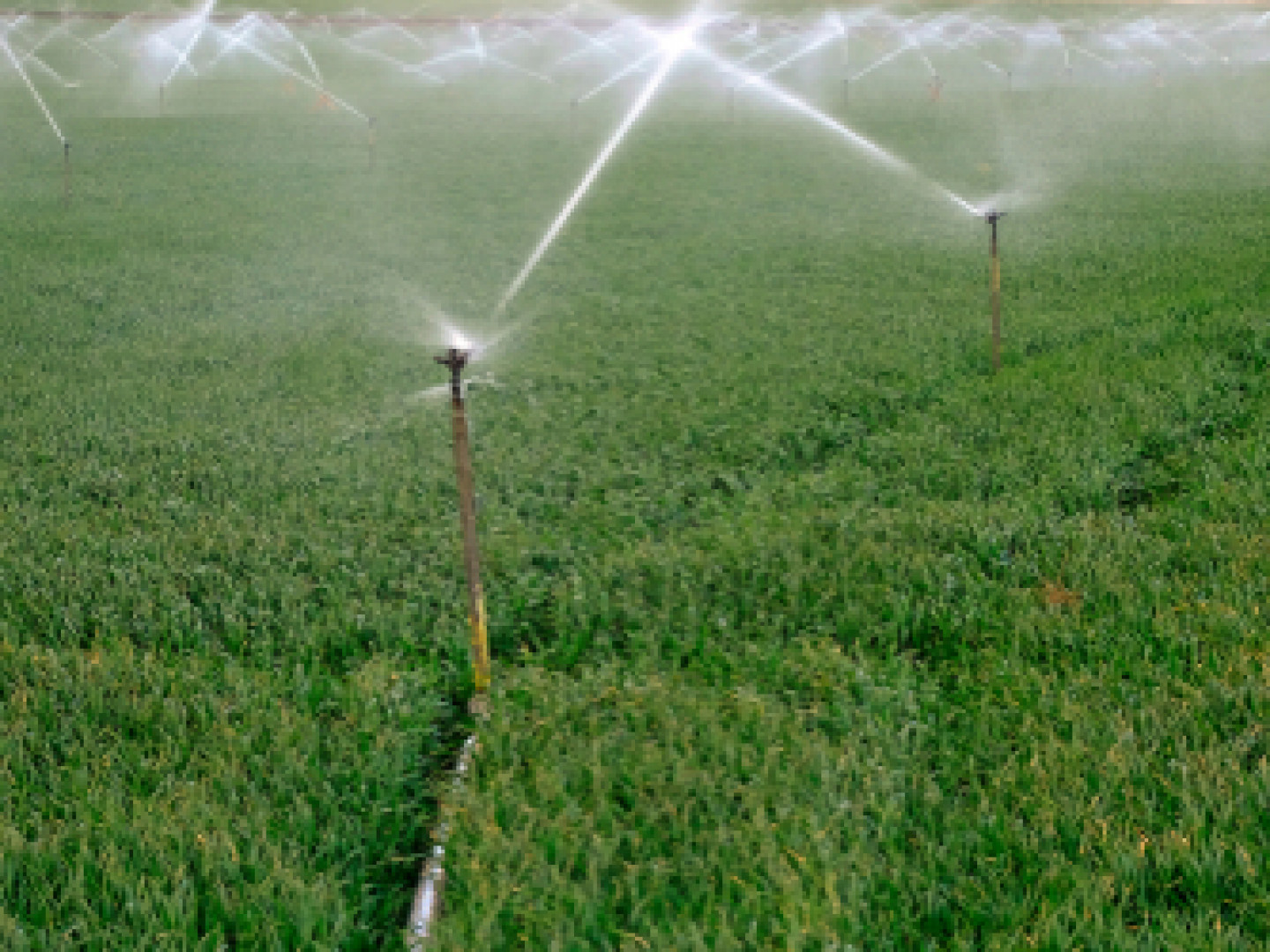 irrigation repair victoria goliad cuero tx ground effects